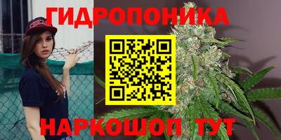 ALPHA-PVP Пыть-Ях