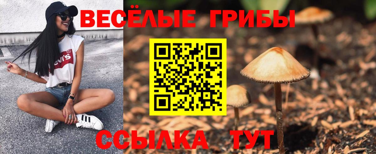 Псилоцибиновые грибы мухоморы  Вход с VPN  Александров  Псилоцибиновые грибы прущие грибы 