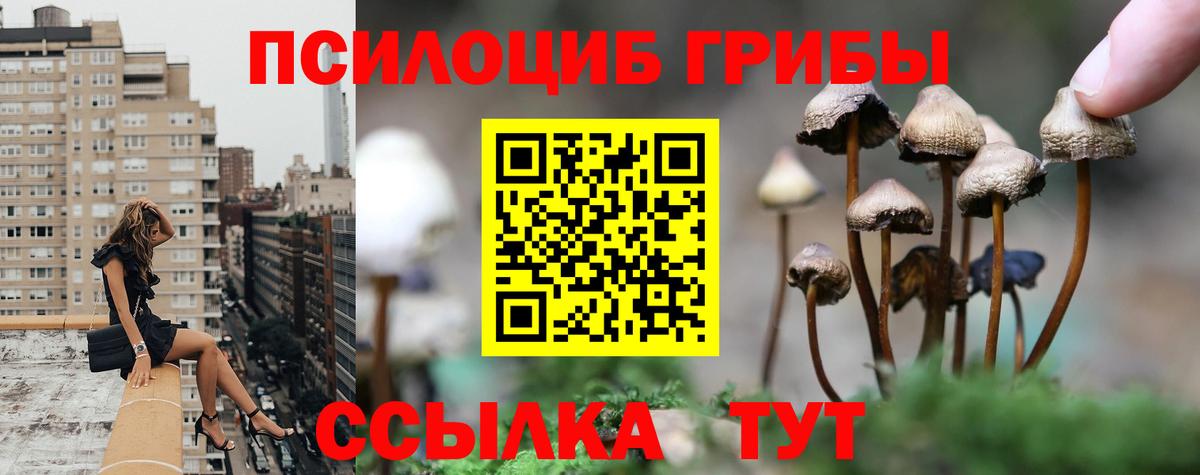 Псилоцибиновые грибы ЛСД Александров